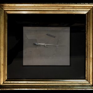 Florencio Galindo De La Vara (1946-2017) - Vanitas Del Lagarto